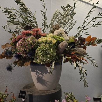 Delphinium Designs & Events - Florists Near Me - Dallas, Texas Delphinium Designs & Events - Florists Near Me - Dallas, Texas