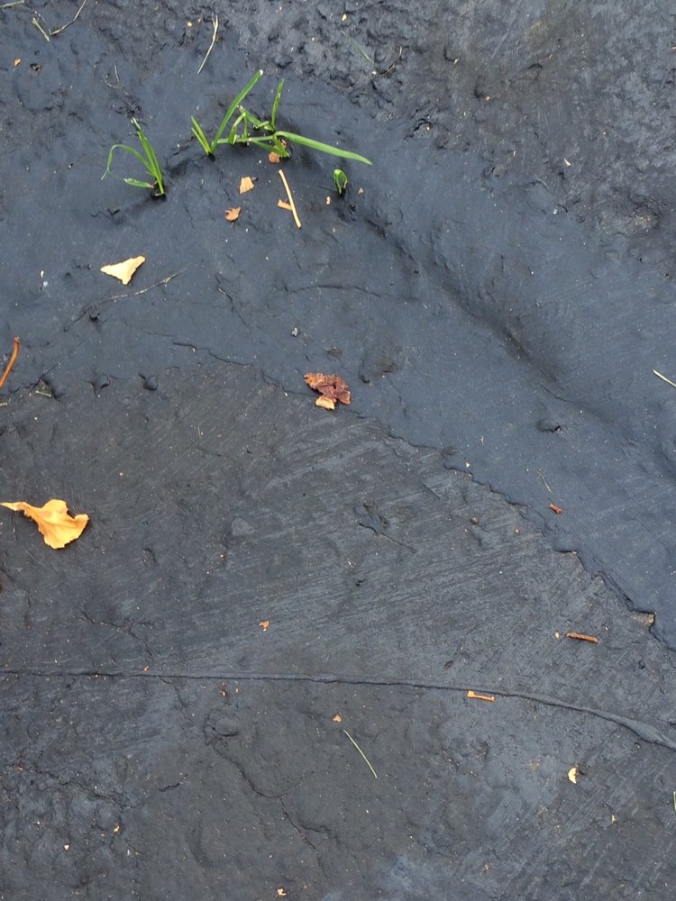 JETBLACK SEALCOATING & REPAIR Updated October 2024 14 Reviews