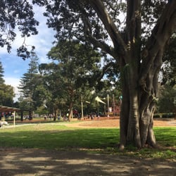 Coffee in the park Cafe, Dolls Point