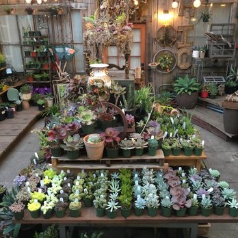 Succulence - the outside selection - Team Building Activities Near Me
