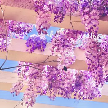 All Nations Church - Wisteria - Churches Near Me - Lake View Terrace, California All Nations Church - Wisteria - Churches Near Me - Lake View Terrace, California
