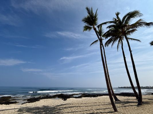 Four Seasons Resort Hualalai by null