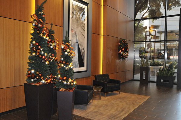 Texas Tropical Plants