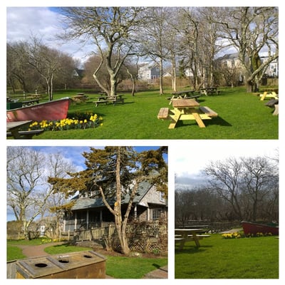 Something Natural by null