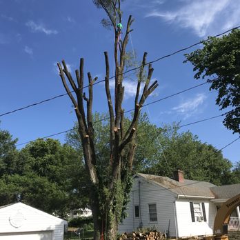JC Tree Services and Landscaping - Tree Removal - Lawn Services Near Me JC Tree Services and Landscaping - Tree Removal - Lawn Services Near Me