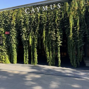 Caymus Vineyards - Wineries Near Me - Rutherford, California