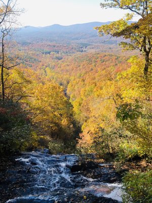 Amicalola Falls State Park by null