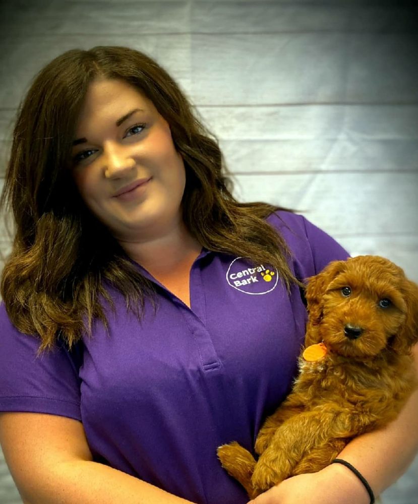 CENTRAL BARK DOGGY DAY CARE Updated October 2024 9550 South 60th St