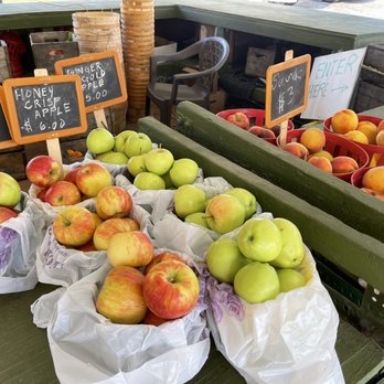 Hayden Peach Orchard - Pick Your Own Farms Near Me - Wading River, New York Hayden Peach Orchard - Pick Your Own Farms Near Me - Wading River, New York