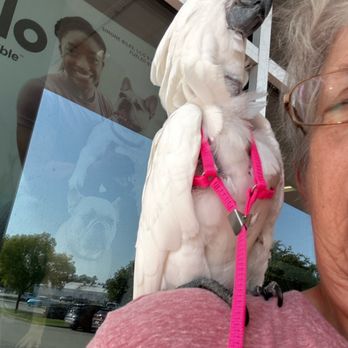 Petco - Pet Training Near Me - Daphne, Alabama Petco - Pet Training Near Me - Daphne, Alabama