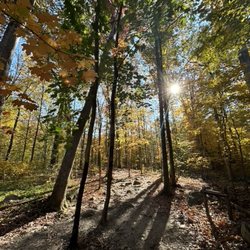 On one of the trails. The Red Oak Trail.  Just gorgeous