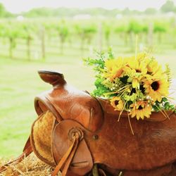 Canadian River Vineyards & Winery Llc - Wedding Venue