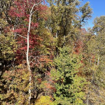 Massanutten Ski Lodge - Music Venues Near Me - Massanutten, Virginia Massanutten Ski Lodge - Music Venues Near Me - Massanutten, Virginia