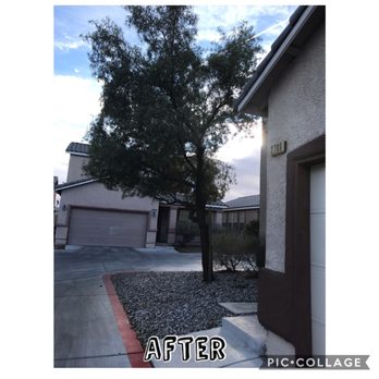JFC LANDSCAPE - Landscaping Near Me - Las Vegas, Nevada