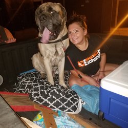 Compassion Movers - We also transport big dogs