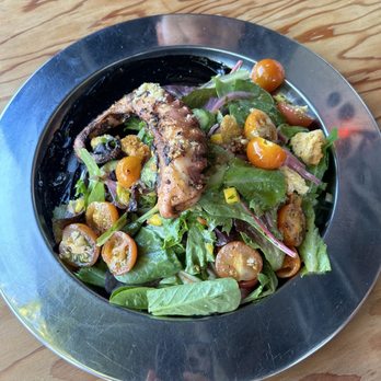 Tangaroa Fish Market - Chilled Octopus Salad - Seafood Markets Near Me - Los Angeles, California Tangaroa Fish Market - Chilled Octopus Salad - Seafood Markets Near Me - Los Angeles, California