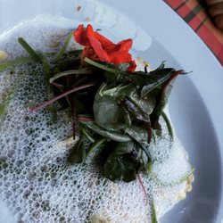 Mein absolutes Lieblingsrestaurant, wenn man köstliche (auch vegetarische) Gerichte in ungezwungener Atmosphäre genießen möchte!