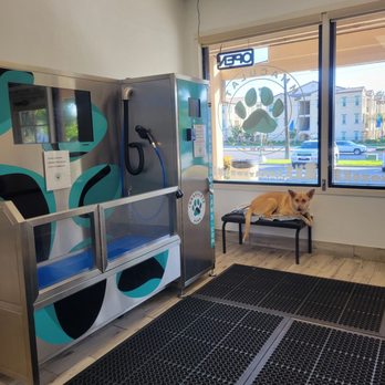 Immaculate Paws - #Spa Day - Pet Groomers Near Me - Riverside, California Immaculate Paws - #Spa Day - Pet Groomers Near Me - Riverside, California