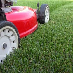 Greg's Lawn Care