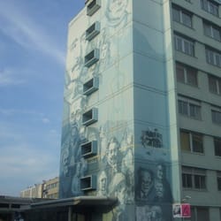 Fresque de Lyon - La recherche, un mur qu'ils ont franchi...