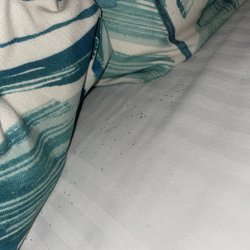 Sea Mountain - bed with termite droppings