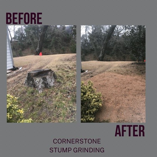 Cornerstone Stump Grinding - tree service in Jacksonville, FL