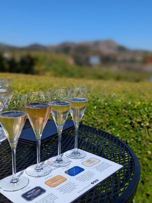 Domaine Carneros by null