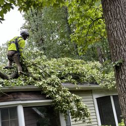 Captains Tree Service