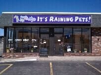 It's Raining Pets Image