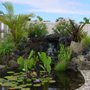 Photo of Maui Lawn And Landscape