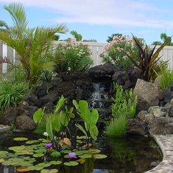 Maui Lawn And Landscape