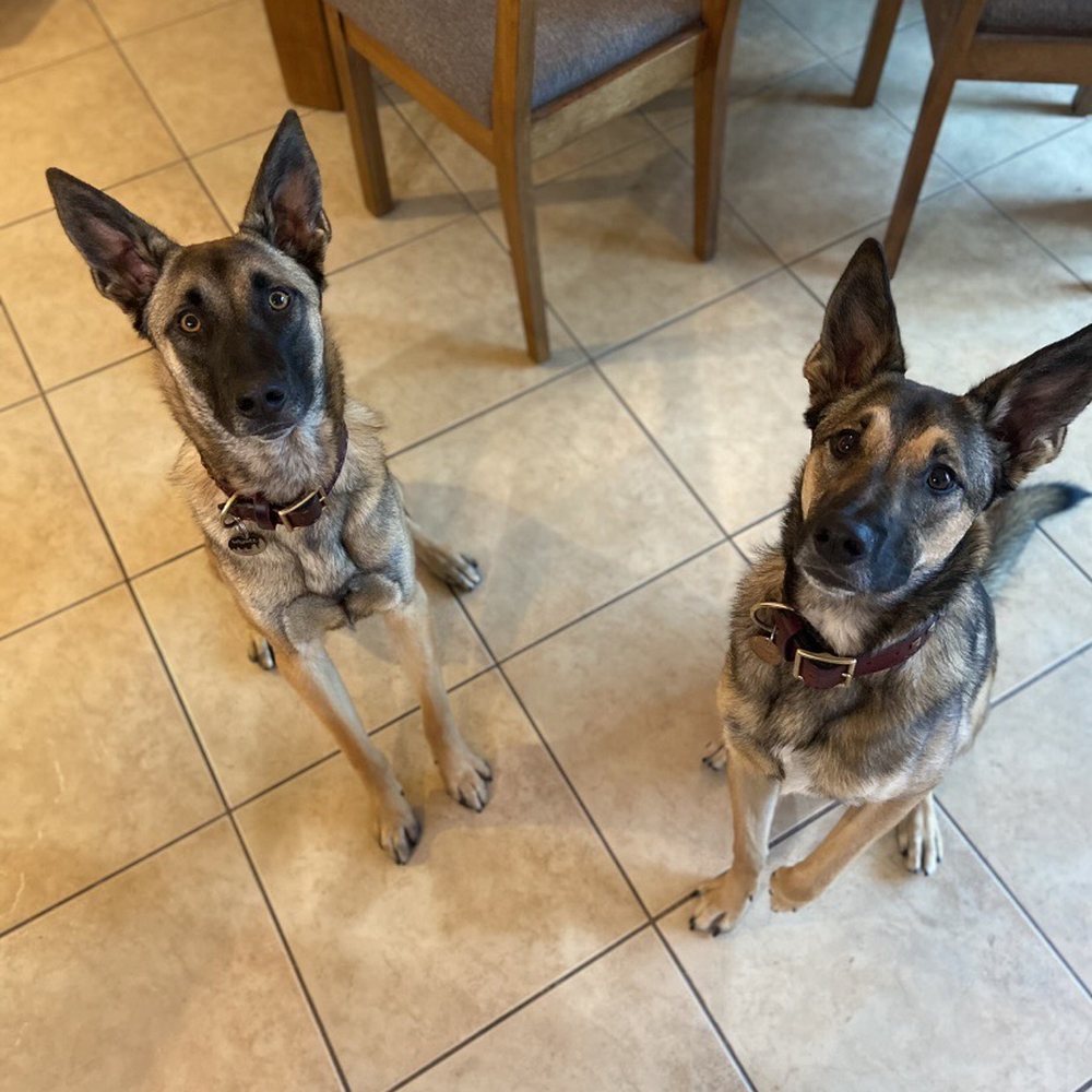 A photo from Rob! He even got these two to sit for a photo (not an easy task!)