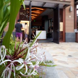 Exterior outside entrance of Stripsteak - Honolulu, Hawaii Exterior outside entrance of Stripsteak - Honolulu, Hawaii