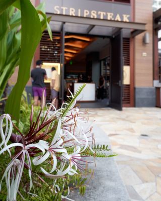 STRIPSTEAK Waikiki by null