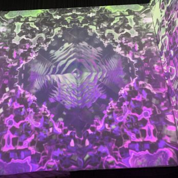 Artopia Experience - Art Galleries Near Me - Chicago, Illinois