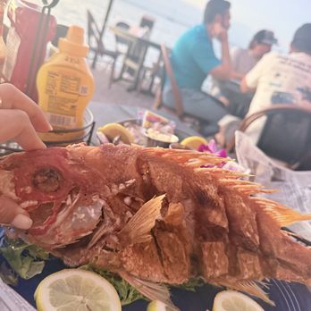Sundowners - Snapper to die for combined with tostones - Seafood Near Me - Key Largo, Florida Sundowners - Snapper to die for combined with tostones - Seafood Near Me - Key Largo, Florida