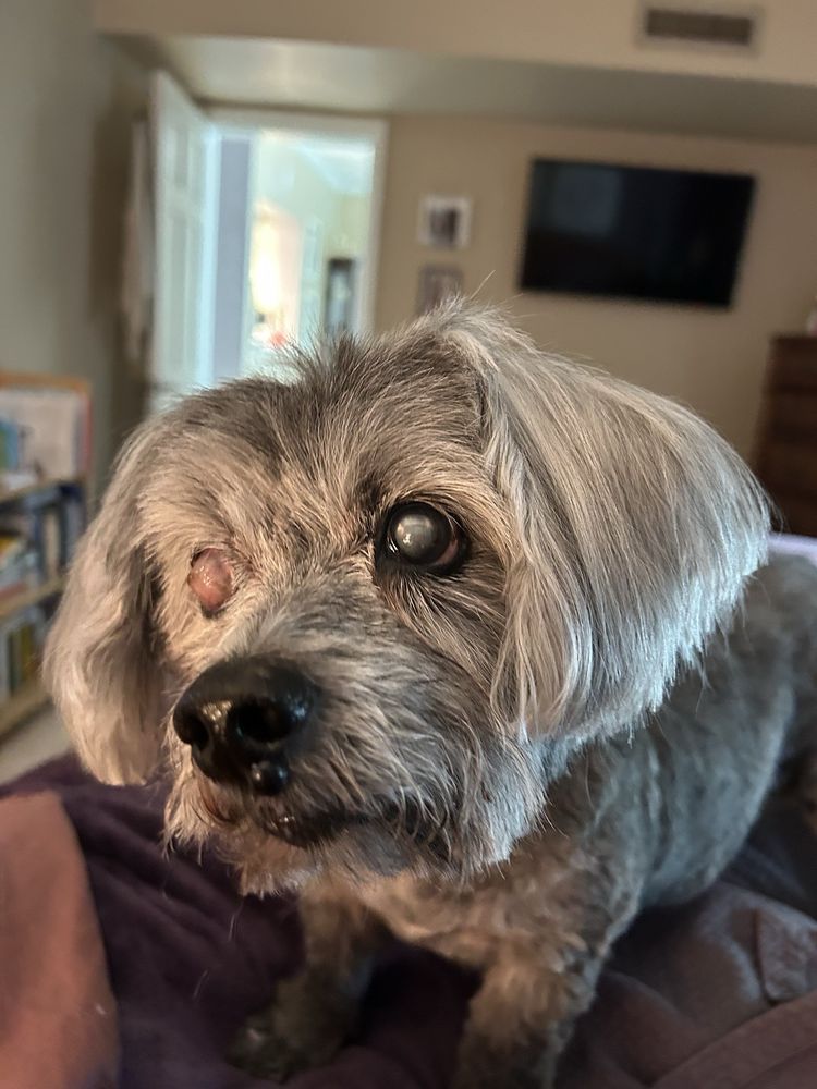 o Jupiter Florida Real Estate For Sale