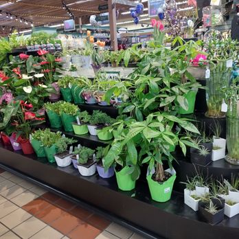 Yoke's Fresh Market - Some nice looking greens - Grocery Near Me - Spokane Valley, Washington Yoke's Fresh Market - Some nice looking greens - Grocery Near Me - Spokane Valley, Washington