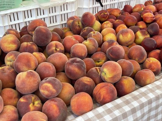 Napa Farmers Market by null