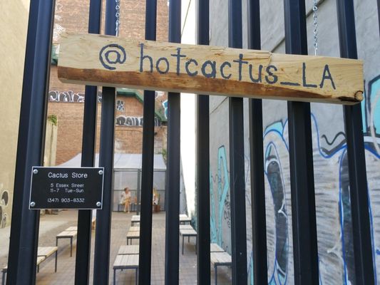 Cactus Store by null