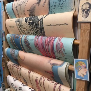 Deco Raleigh - Educational posters - Gift Shops Near Me - Raleigh, North Carolina