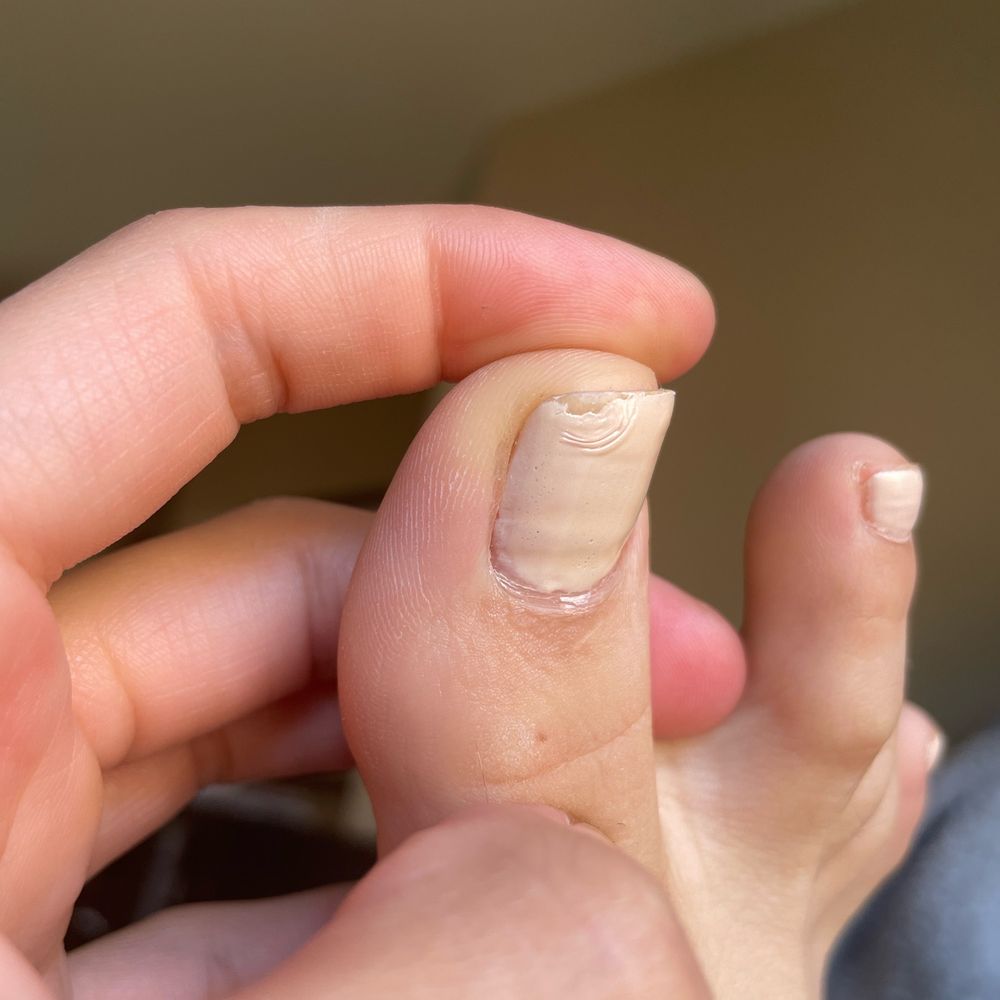 Nevada Nails & Spa - Toes - Waxing Near Me - Las Vegas, Nevada Nevada Nails & Spa - Toes - Waxing Near Me - Las Vegas, Nevada