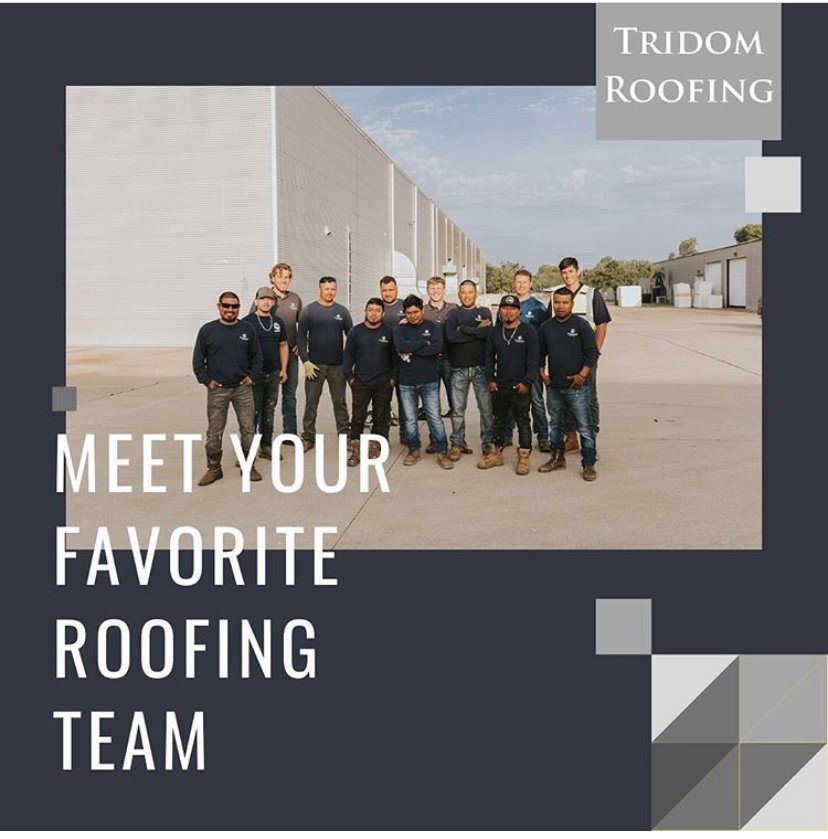 Slide of Tridom Roofing