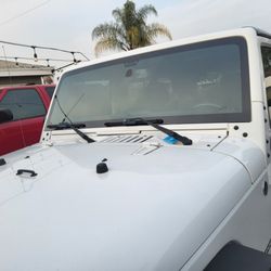 Pro Tek Auto Glass