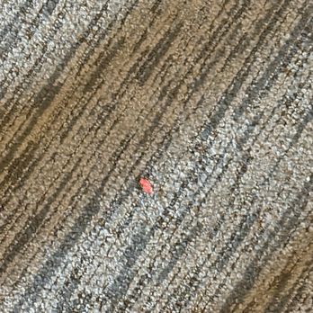Camelback Resort - Something on the floor - Resorts Near Me - Tannersville, Pennsylvania Camelback Resort - Something on the floor - Resorts Near Me - Tannersville, Pennsylvania