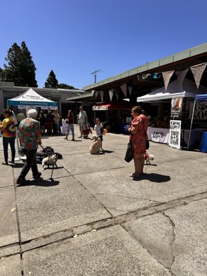 Marin Humane by null