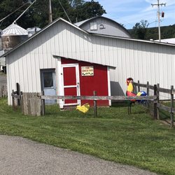 Millers Egg Ranch - Chicken and goats!