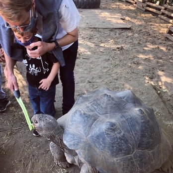 The Tortoise Home Campbell - Attraction Farms Near Me - Campbell, California
