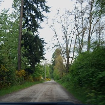 Green Cat Guest House - Dirt road leading to the Green Cat B&B - Guest Houses Near Me - Poulsbo, Washington