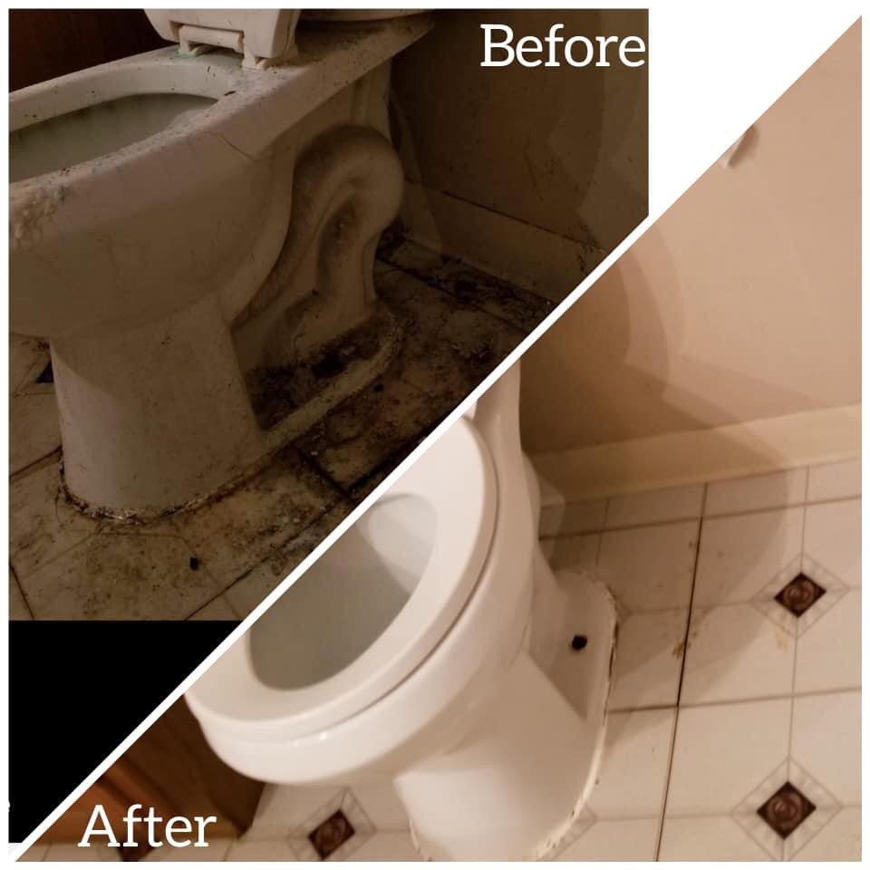 THE SCRUB CLEANERS Updated June 2024 10 Photos Niagara Falls, New York Home Cleaning